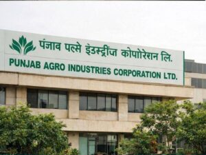 image-resize-color-correction-and-ai-99_1769787967