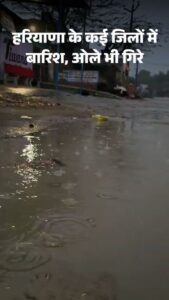 00000000still002_1769918592