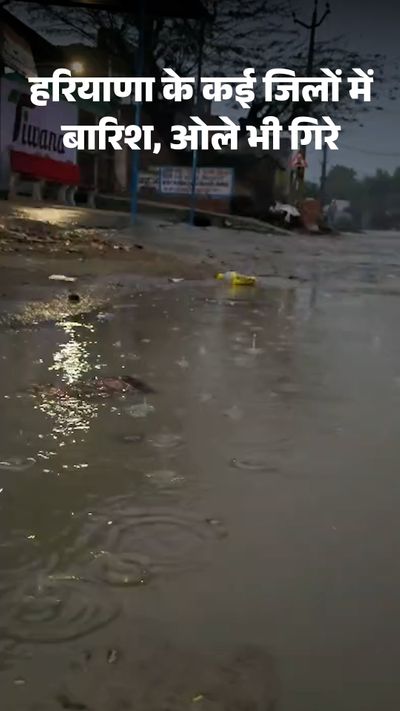 00000000still002_1769918592