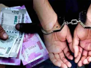 CF59619D-94A3-4B64-9F17-81280B50FBBA_1771328816147