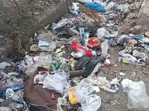 bd997509-ca10-4a34-a73c-6040b3da21c9_1771671225761