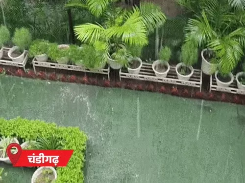 comp-1-2026-02-18t194839666_1771424326