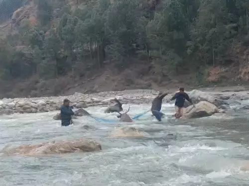 comp-117-1_1770181752