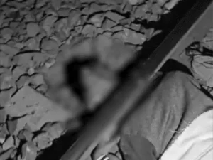 comp-234-1_1771479400