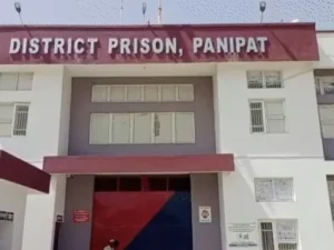 comp-41733472874_1772103646