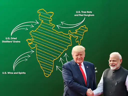 dsafasdfa_1770448191