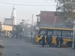 ezgif-19950a671f64daeb_1770945637