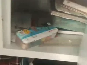 ezgif-315c81841dd9249c_1771994746