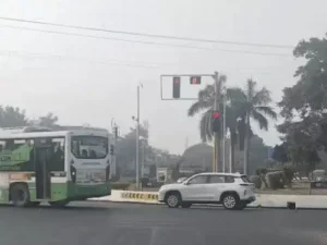 ezgif-5aa5a8cf487378f3_1772243931