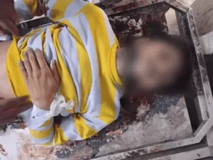 ezgif-7e10542ecccc2295_1771936184