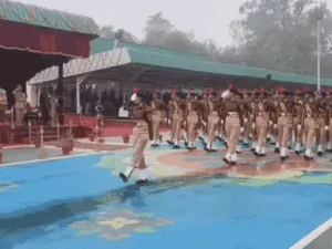 ezgif-866982832b3b71521769598613_1771314127