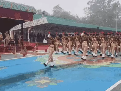 ezgif-866982832b3b71521769598613_1771314127