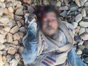 ezgif-89e8c1c284cf6c29_1771993355