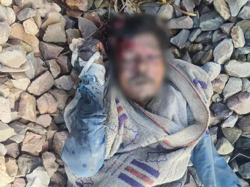 ezgif-89e8c1c284cf6c29_1771993355