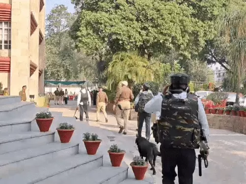 ezgifcom-resize-95_1772165095