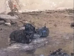 iner-g131771224566_1771227681