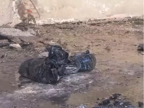 iner-g131771224566_1771227681