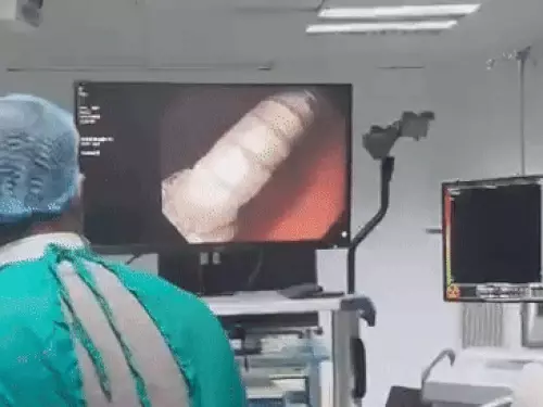 whatsappvideo2026-02-09at160350-ezgifcom-resize-1_1770633546