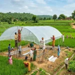 178b86dd-64c3-441e-a078-5ea05cc49c7b_1774333666804