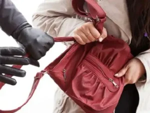 20222image1345058602621jind_1772389506