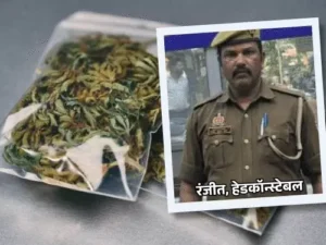 comp-1013-3_1772808808