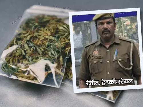 comp-1013-3_1772808808