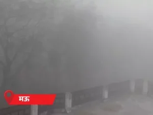 comp-114-1_1773285900