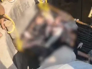 comp-181-2_1773047341