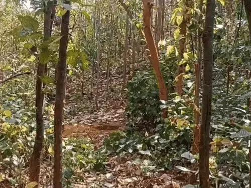 comp-3717423896321747037130_1772337272