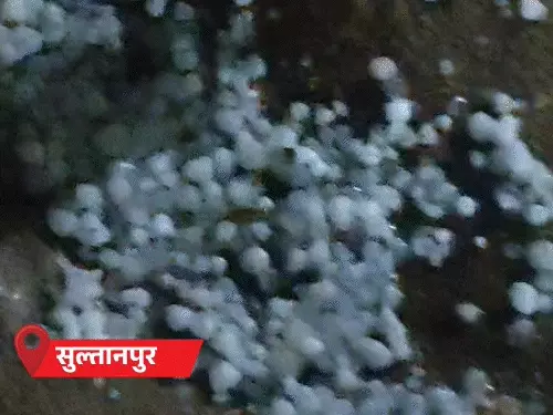 comp-46-2_1774668387