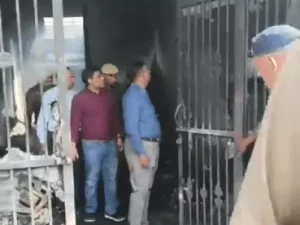 ezgif-1a6593994d961838_1772875489