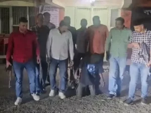 ezgif-1e88fcddde65c154_1772593446