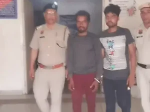 ezgif-5913e2415af8343a-1_1773399473