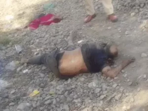 ezgif-5d29bcb7ac142ac7_1772440169