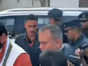 ezgif-6c2a43d10de41573_1772970899