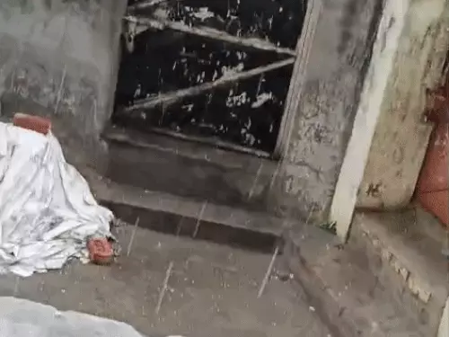 ezgif-6e0114f8285f80db_1773633340