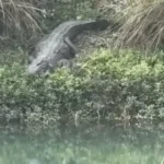 ezgif-7c6b8bb80a9d507f_1773374791