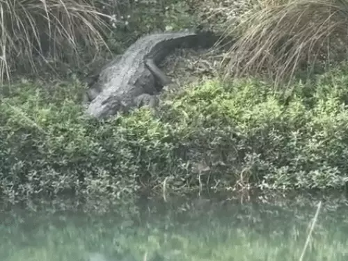 ezgif-7c6b8bb80a9d507f_1773374791