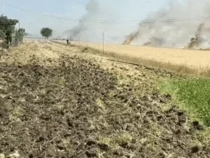 ezgifcom-optimize-2026-03-09t135349649_1773044646