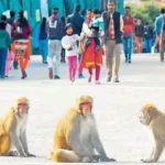 ezgifcom-resize-2026-03-24t105418312_1774329906