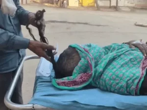 ezgifcom-resize-8-1_1772956017