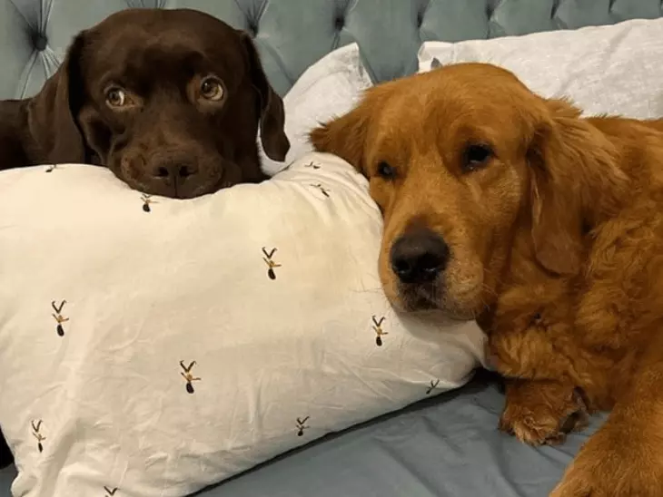 gifmagicsite-18_1773210706