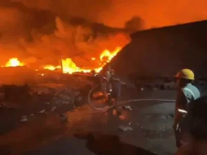 gifmagicsite-2026-03-05t222223505_1772729677