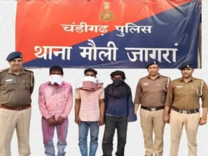 image-resize-color-correction-and-ai-49_1772811604