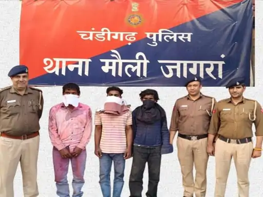 image-resize-color-correction-and-ai-49_1772811604