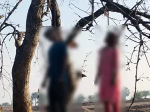 news4_1774588710
