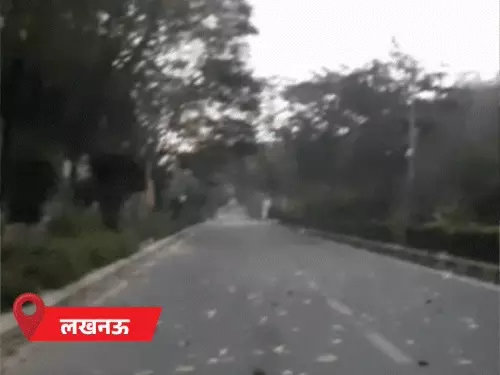 political-updates-6_1773551284