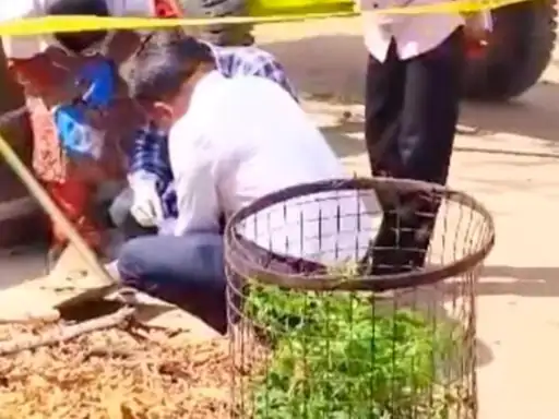 whatsapp-image-2026-03-17-at-103828-pm_1773934505