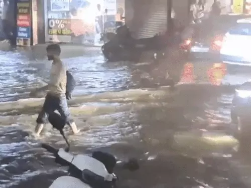 whatsappvideo2026-03-18at62444pm-ezgifcom-resize17_1773855043