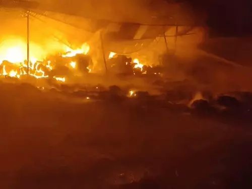 whatsappvideo2026-03-26at095614-ezgifcom-resize_1774499288